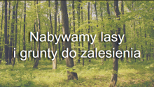 Nabywanie gruntów przez LP