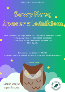 Noc sów