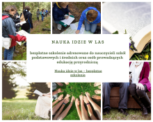 Nauka pójdzie w las